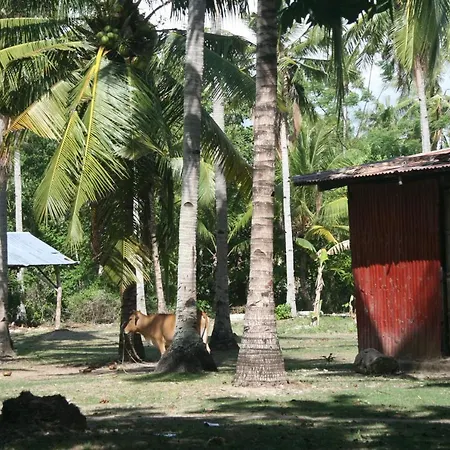 Spacious 2 Bed Bungalow In Baod Fishing Village